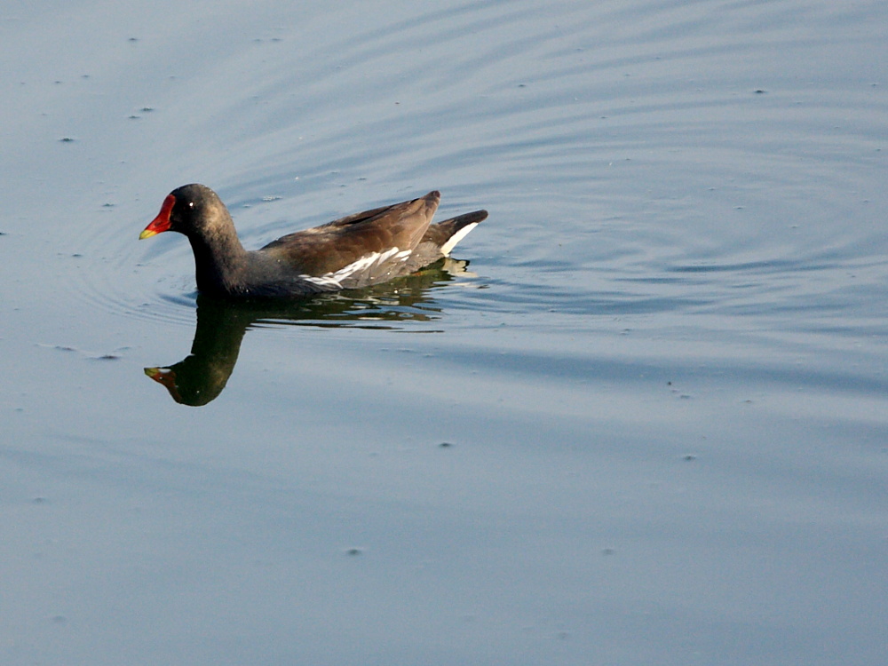 DPP_6250.JPG