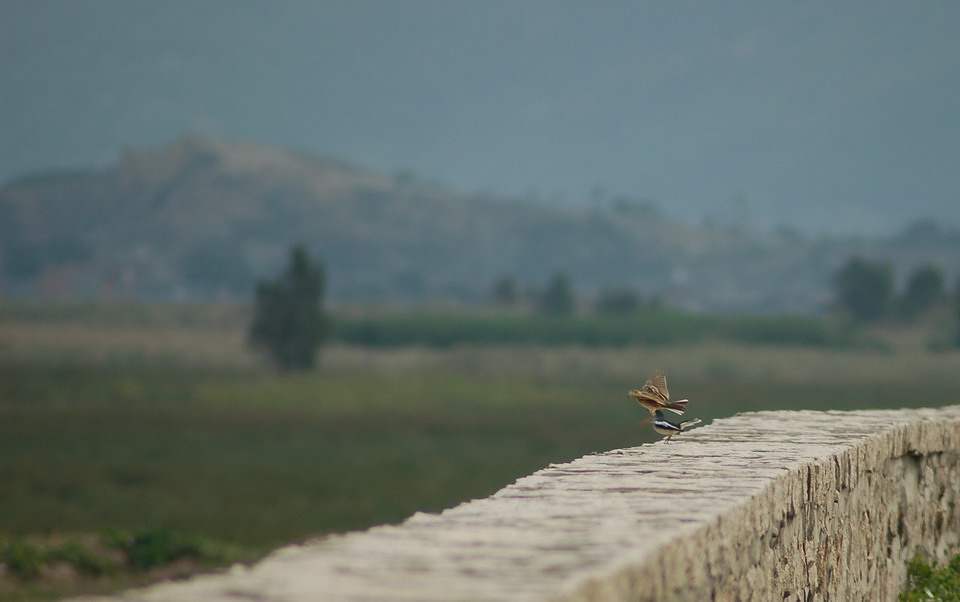  DSC_0042_СС.JPG