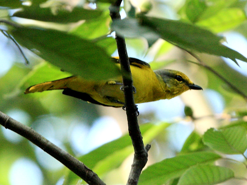 DPP_6229.JPG
