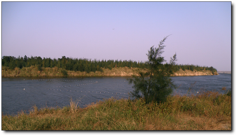 PB020426.jpg