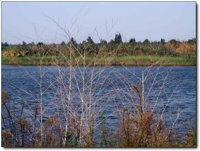 PB020417.jpg