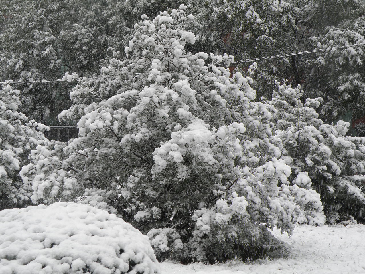 PB012986.JPG