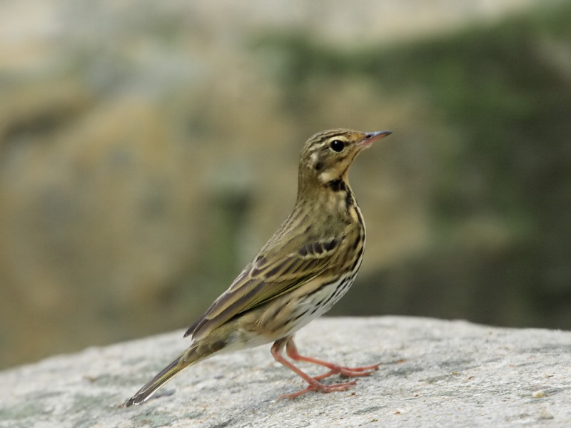 DPP_640610.jpg