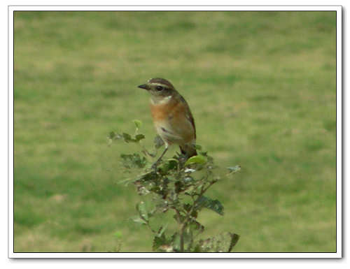 DSCN9368.JPG