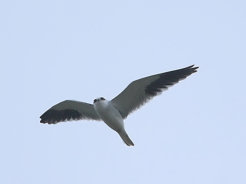 DPP_6484_3_˺.jpg
