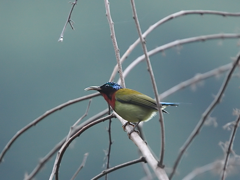 DPP_6493_1.jpg