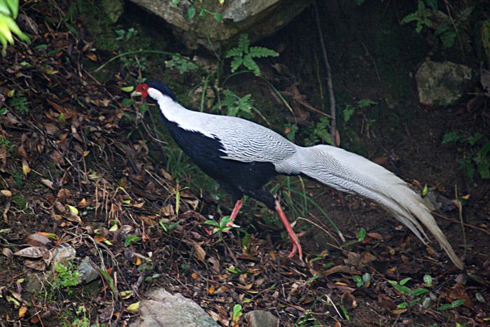 0A2700.jpg