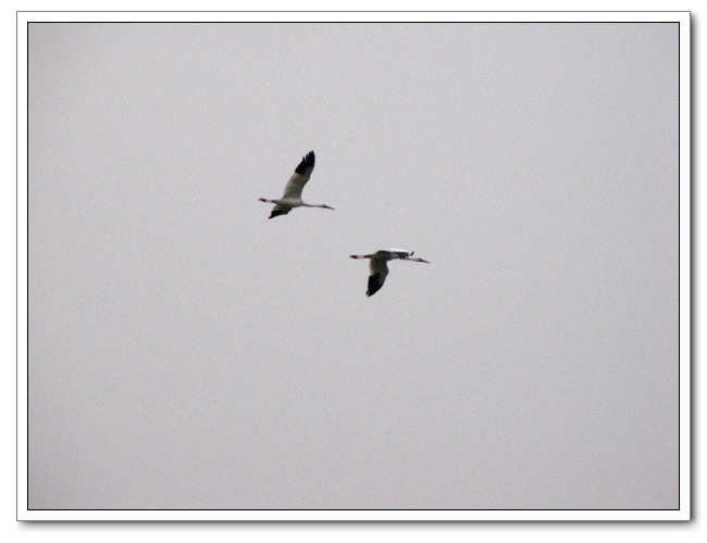 IMG_2613.JPG