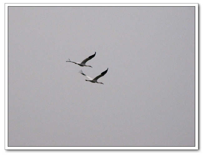 IMG_2617.JPG