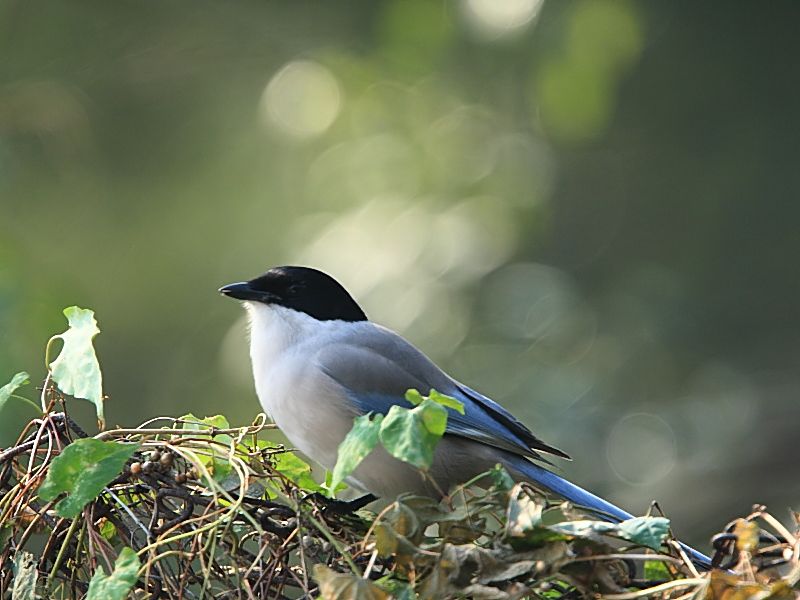 DPP_6579_1.jpg