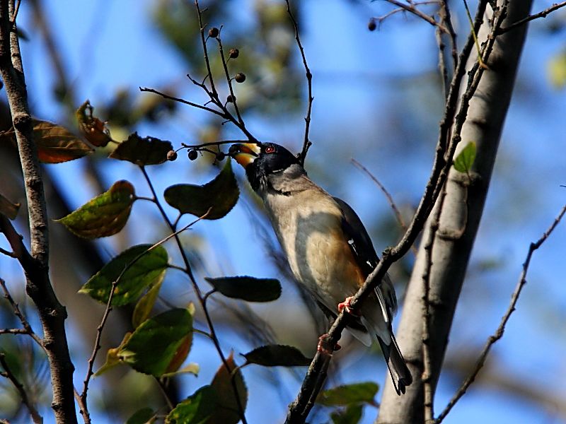 DPP_6552_1.jpg