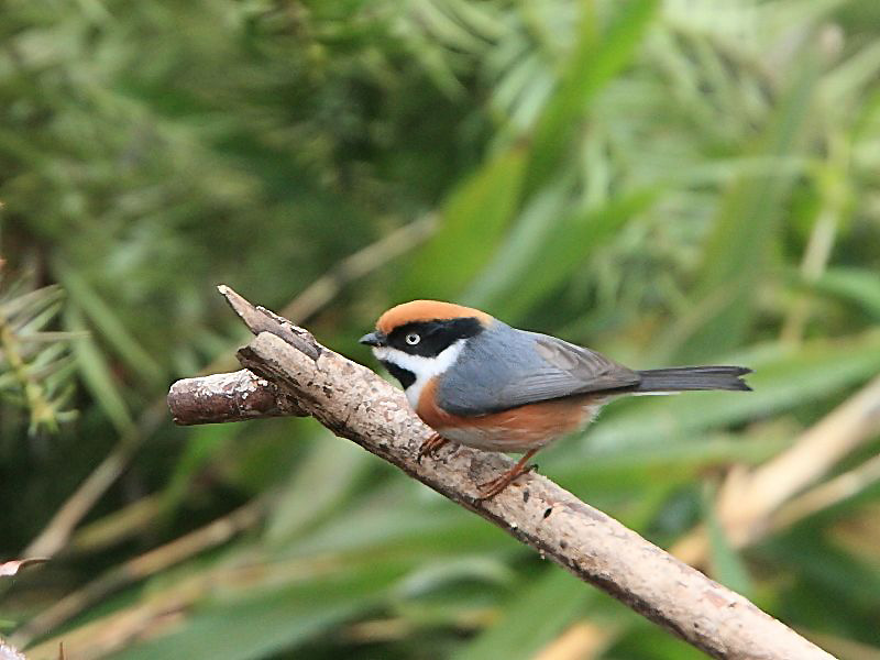 DPP_6616_4.jpg