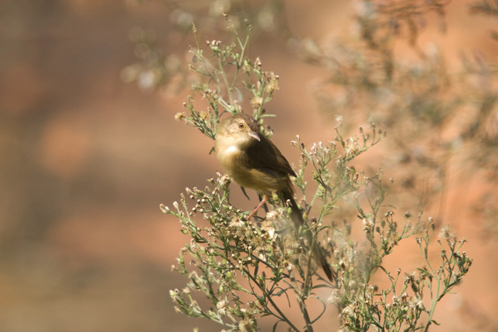 0ͷݺ4700.jpg