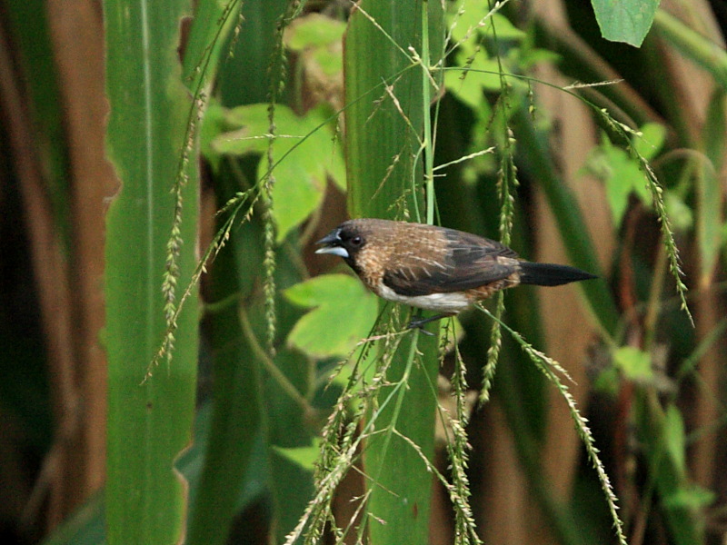DPP_6659.JPG