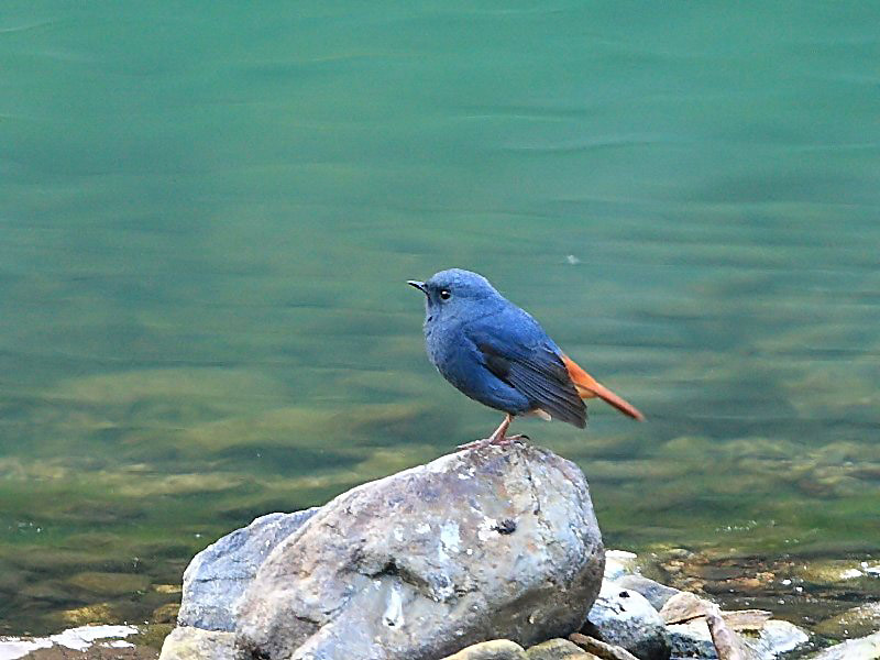 DPP_6655_1.jpg