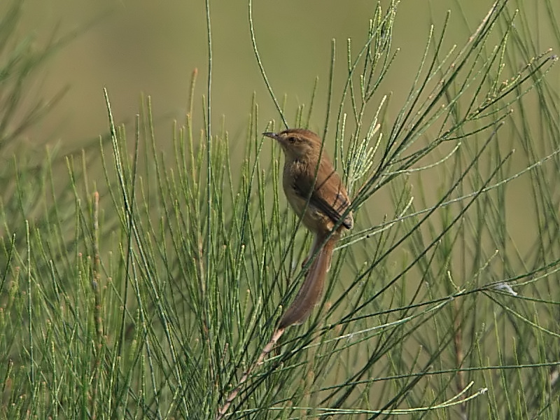 DPP_6713_2.jpg
