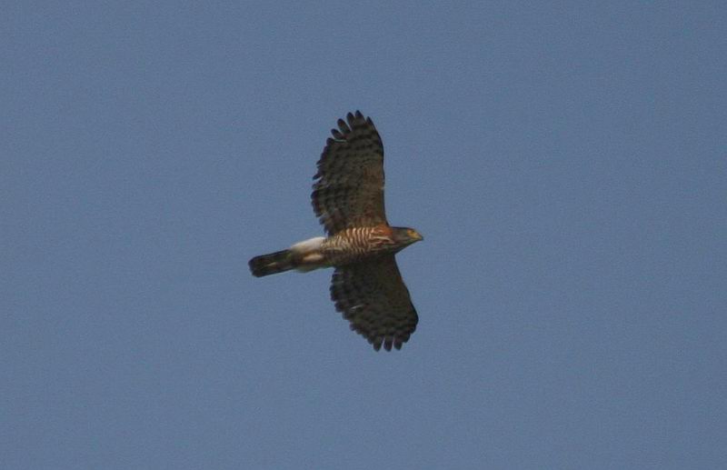 IMG_7788.jpg