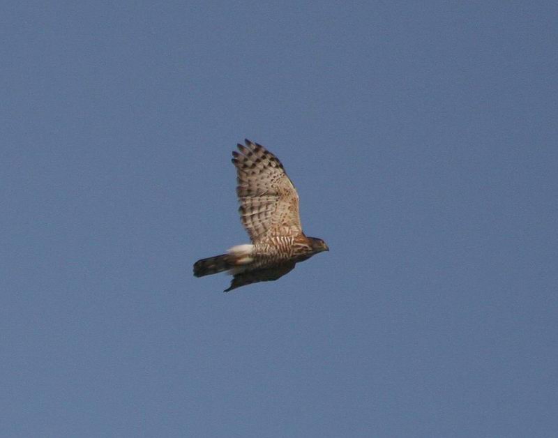 IMG_7789.jpg