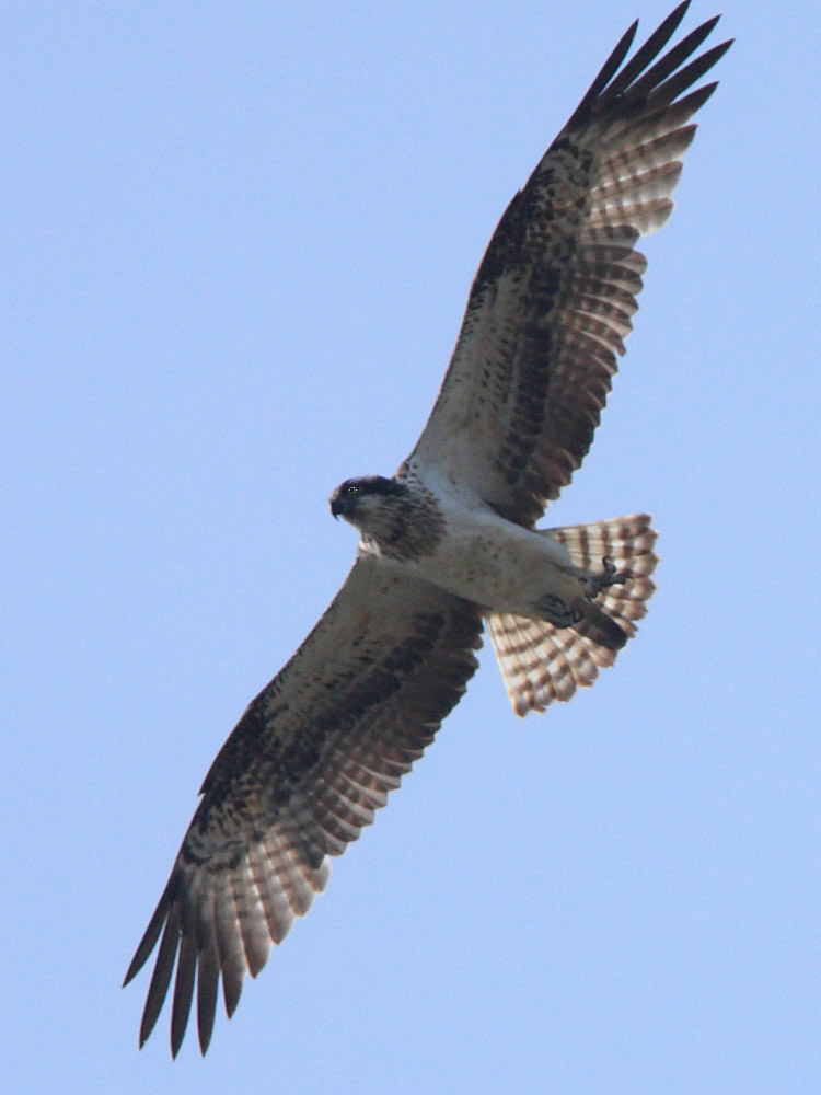 DPP_6752－0.jpg