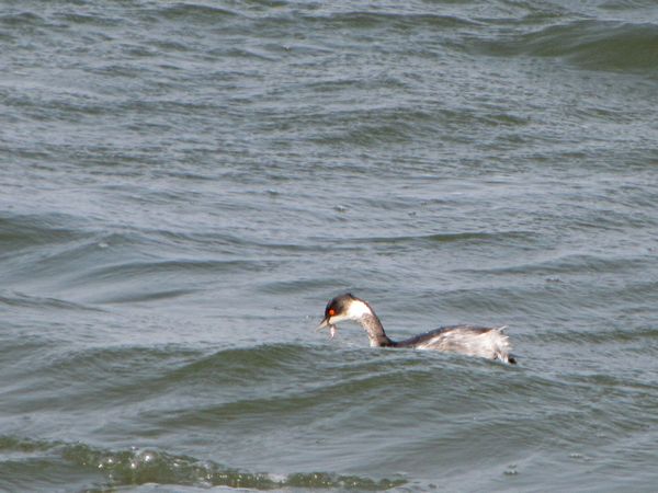 IMG_5823.JPG