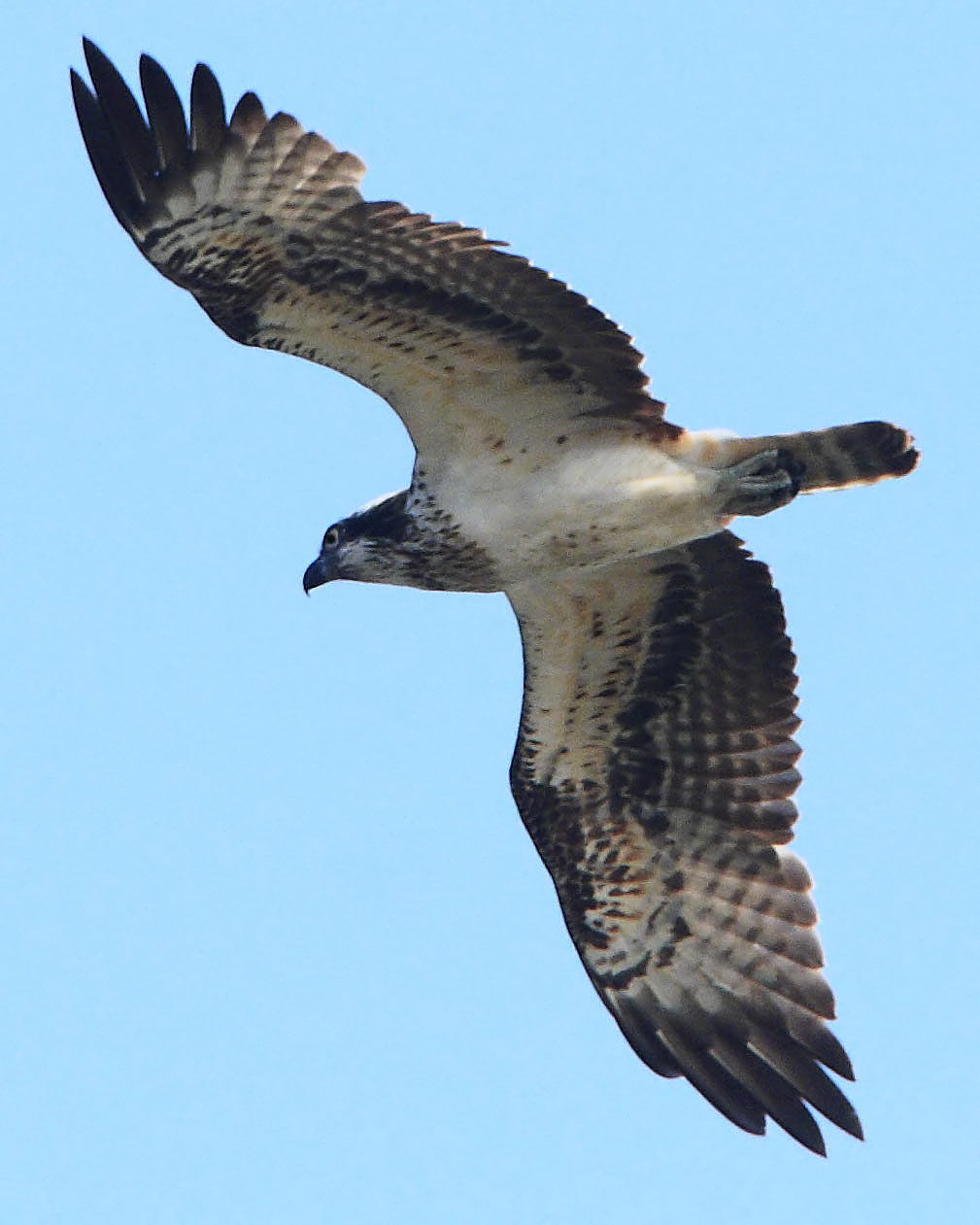 DPP_6765－0.jpg