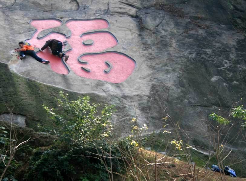 dd005.jpg