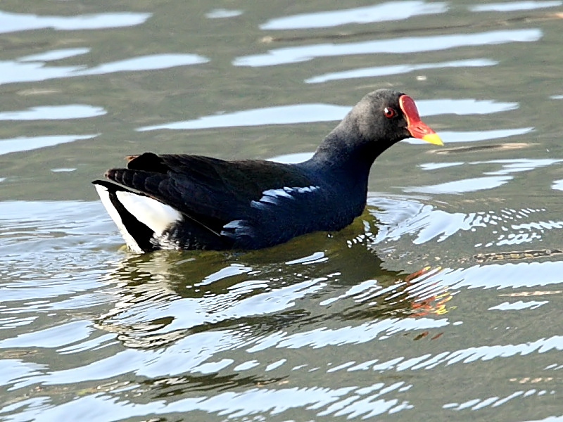 DPP_6941_0.jpg