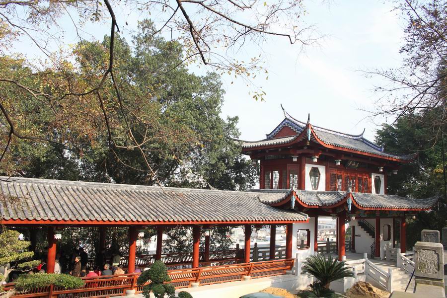 7d0109.jpg