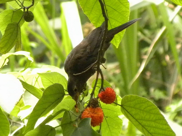 2009.7.24 02.jpg