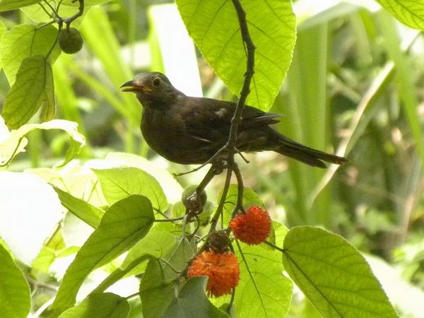 2009.7.24 01.jpg