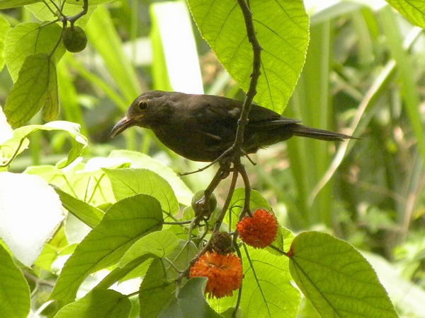 2009.7.24 03.jpg