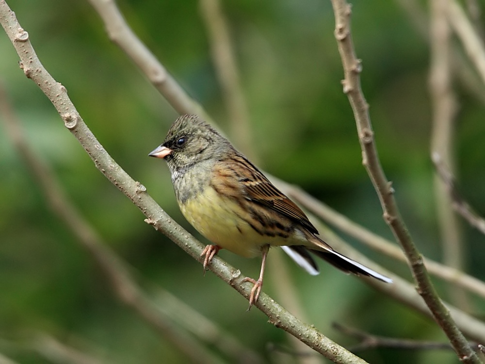 DPP_0095-4.jpg