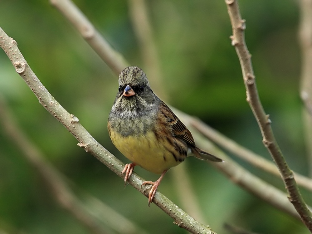 DPP_0096-2.jpg