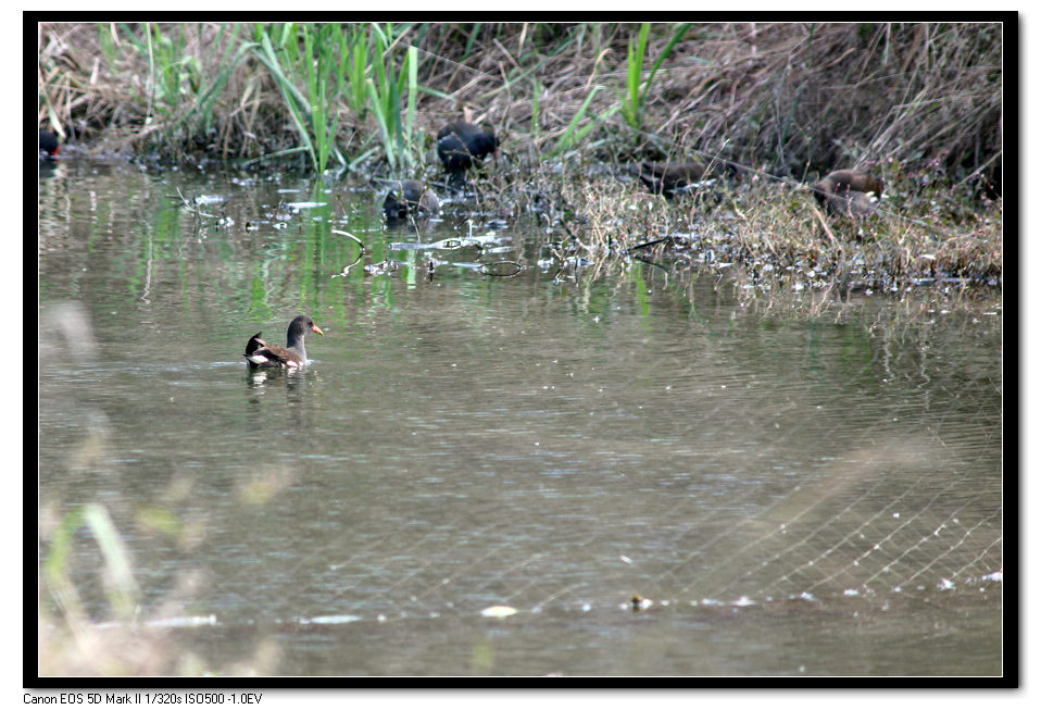 IMG_8321.jpg