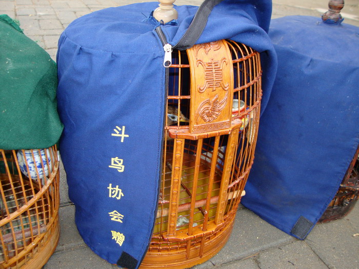 DSC01787.JPG