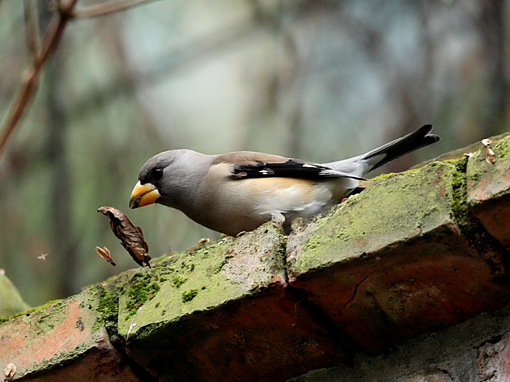 DPP_0453_1.jpg