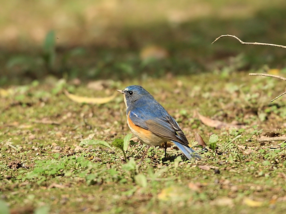DPP_0477_1.jpg