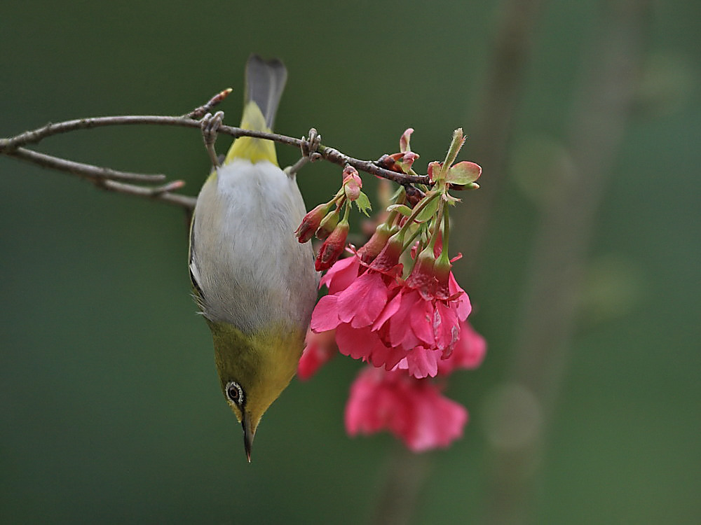 DPP_0494-2.jpg