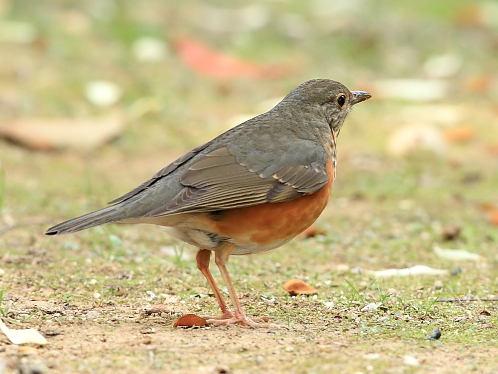 DPP_0469_1.jpg