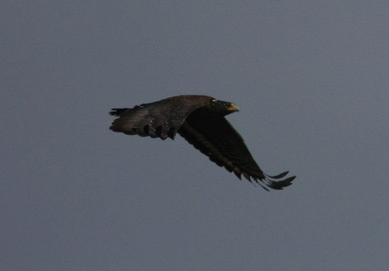 IMG_3876.jpg