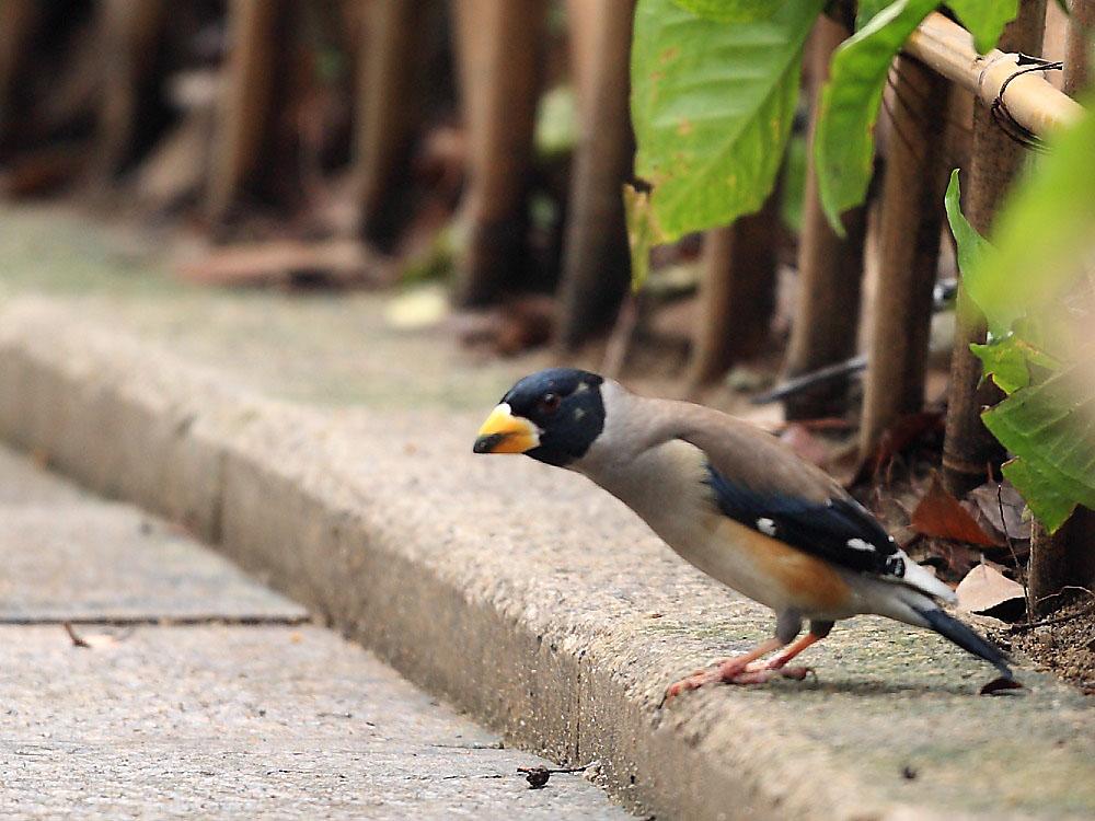 DPP_0543-1.jpg