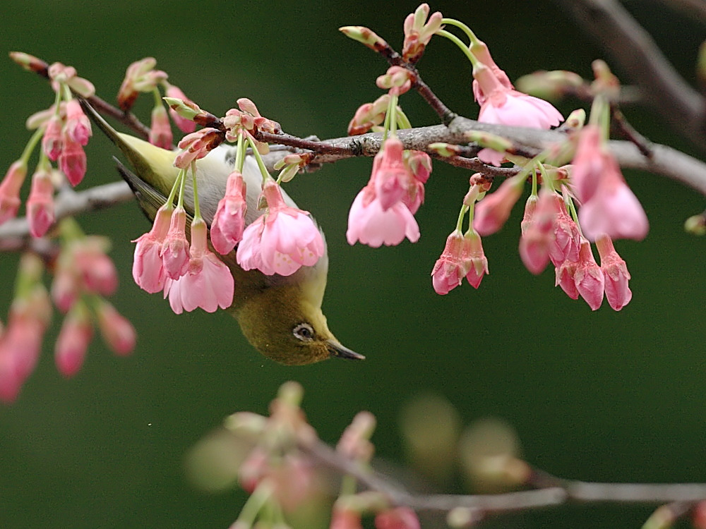 DPP_0573-1.jpg