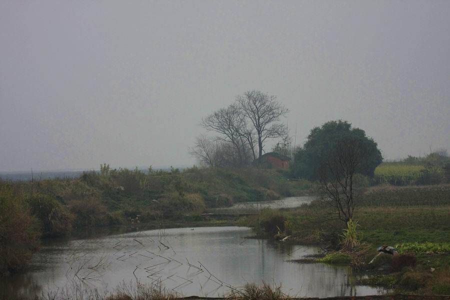 IMG_4378.jpg