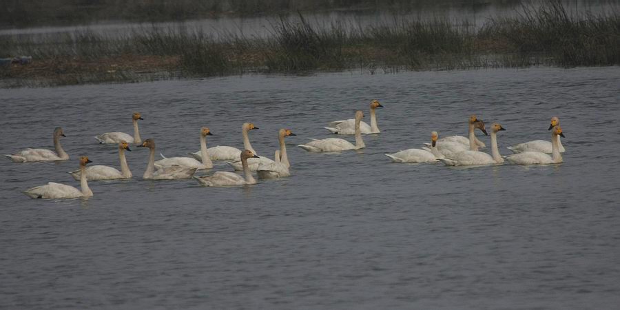 IMG_4588.jpg