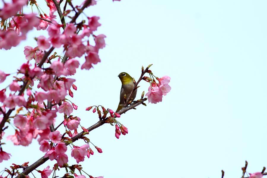 ع С d0131 155.jpg