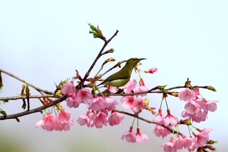 ع С d0131 144.jpg