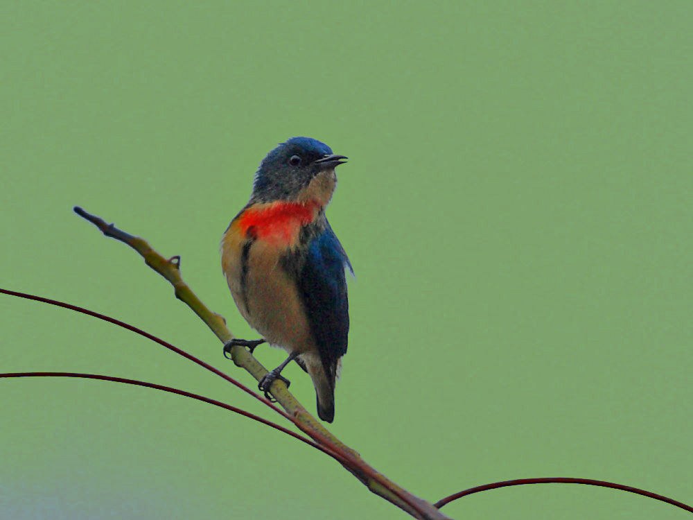DPP_0730-3.jpg