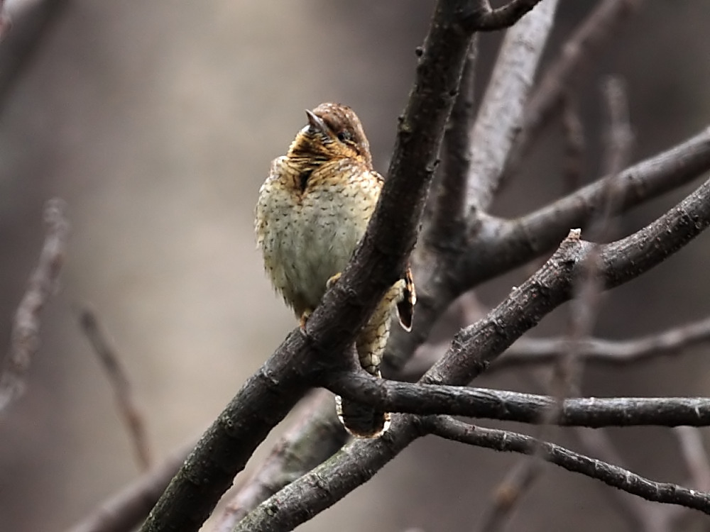 DPP_0708_1.jpg