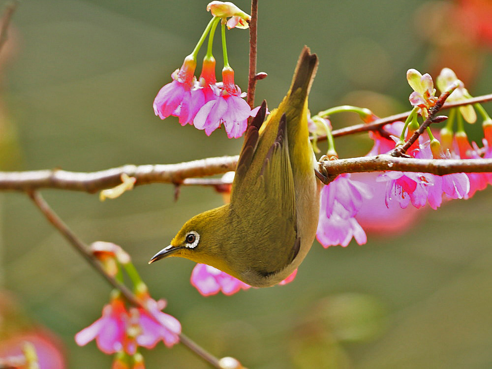 DPP_0793-1.jpg