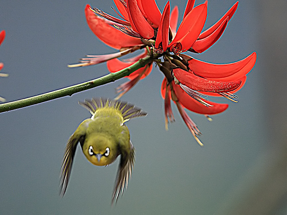 DPP_0800-4.jpg